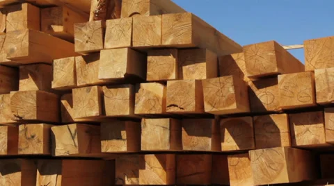 Wood chips stacked in construction yard pan/tilt. Stockbeeldmateriaal 27305895