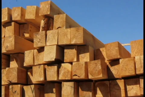 Wood chips stacked in construction yard pan/tilt. Stockbeeldmateriaal 27358008