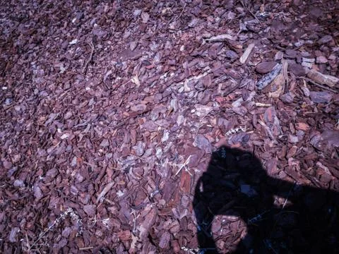 Wood chips texture with shadow Stock Photos