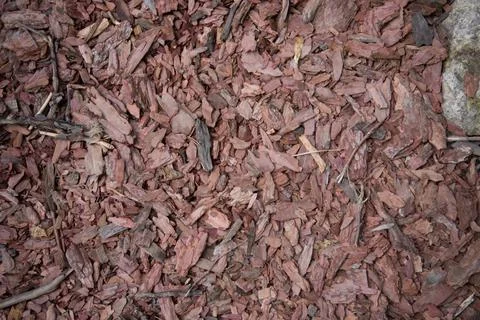 Wood chips. Tree bark elements. Natural coating, environmental friendliness Foto stock