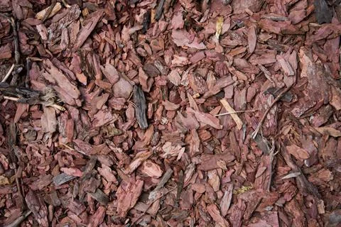 Wood chips. Tree bark elements. Natural coating, environmental friendliness 스톡 사진
