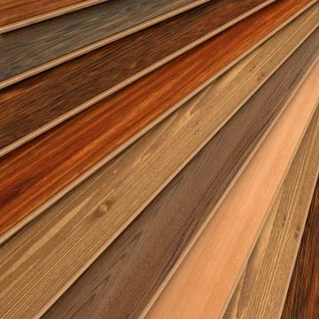 Wood choice Stock Illustration