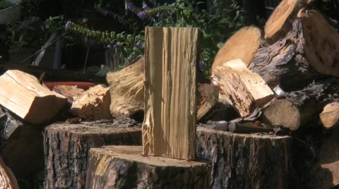  wood chop 3 Vídeo Stock 506495