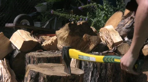 Wood chop 4 Vídeo Stock 506492