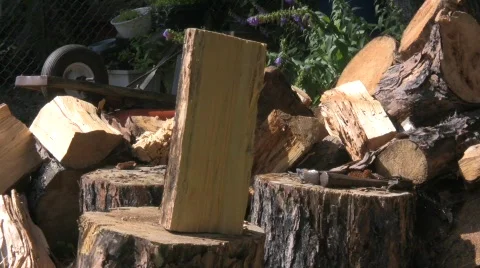 Wood chop 5 Stock Footage 506489