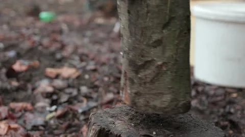Wood chopping _1 Stock Footage 19301532