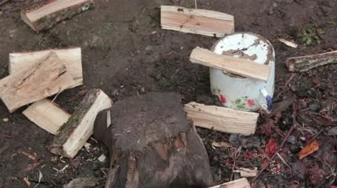 Wood chopping _5 Stock Footage 19387704