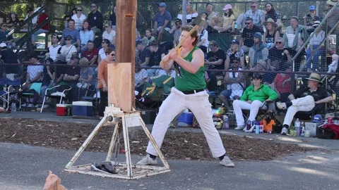 Wood chopping competition. Stock-Footage 246793137