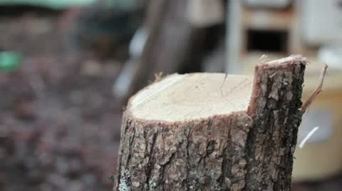 Wood chopping Stock Footage 19277644