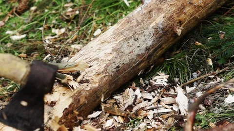 Wood chopping. Man hands using ax. Stock Footage 113281832
