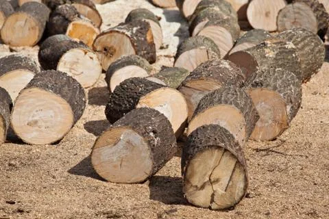 Wood chunks Stock Photos