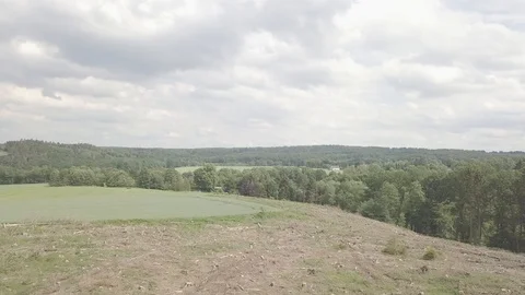 Wood Clearing Area Stock Footage 111228605