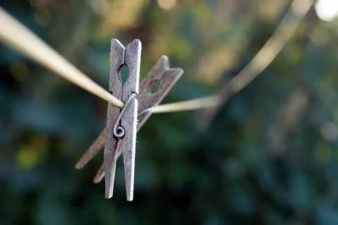Wood clothespins on line Foto stock