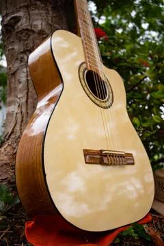Wood colored curved classical guitar body Stock Photos