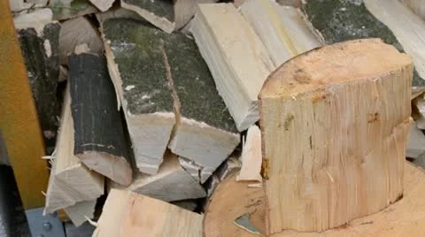 Wood columns Stock Footage 12283241