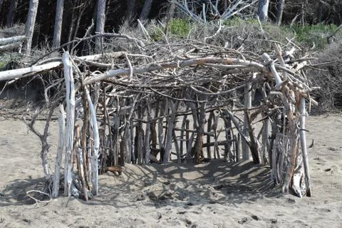 Wood construction on the beach in the pine trees and pinewood forest on the s Stock Photos