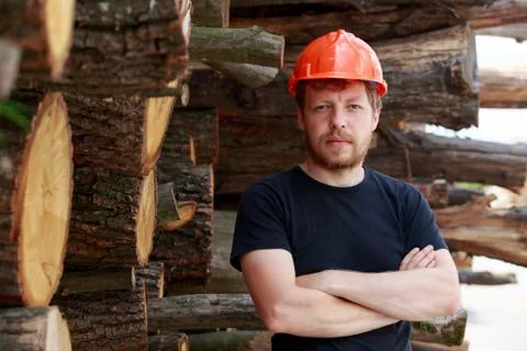 The wood construction engineer 库存照片