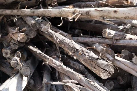 Wood construction Stock Photos