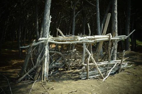 Wood construction, Pine trees and pinewood forest on the seaside, Beach and s Stock Photos