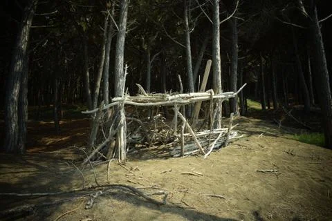 Wood construction, Pine trees and pinewood forest on the seaside, Beach and s Stock Photos