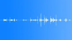 Wood cracking and leaves SFX 19Sound Effect