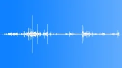 Wood cracking and leaves SFX 20Sound Effect