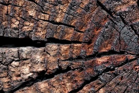 Wood with cracks. Foto stock