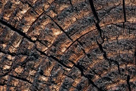 Wood with cracks. Stock Photos