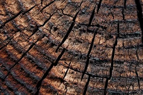 Wood with cracks. Stock Photos
