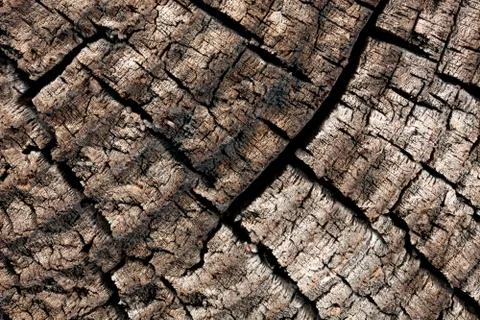 Wood with cracks. Stock Photos