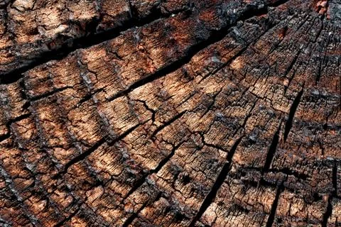 Wood with cracks. Stock Photos