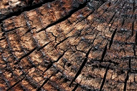 Wood with cracks. Stock Photos