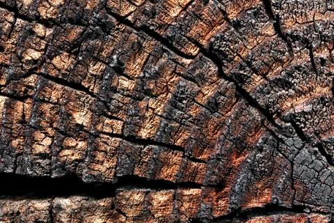 Wood with cracks. Stock Photos