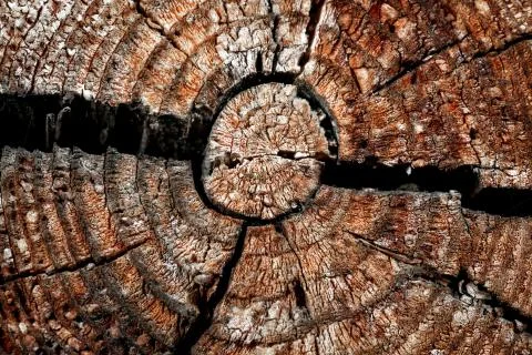 Wood with cracks. Stock Photos