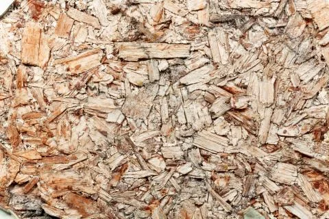 Wood with cracks. Foto stock