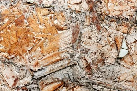 Wood with cracks. Stock Photos