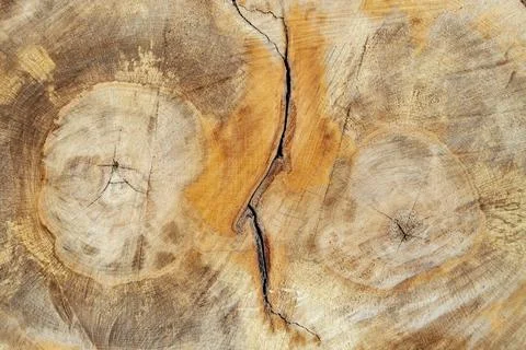 Wood cross section texture with chainsaw marks and a crack, abstract backgr.. Foto stock