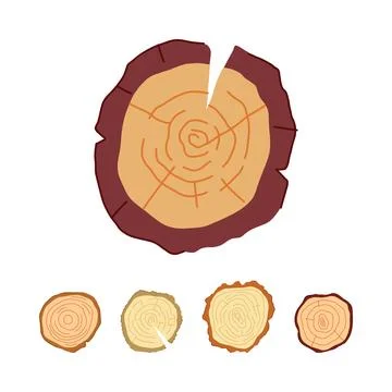 Wood cross sections collection with tree rings texture Illustrazione stock