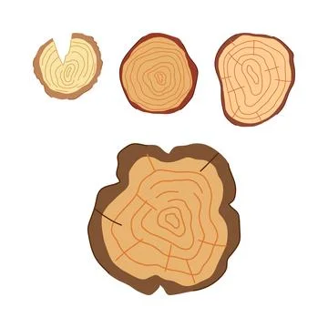 Wood cross sections showing tree rings and textured bark Stock-Illustration