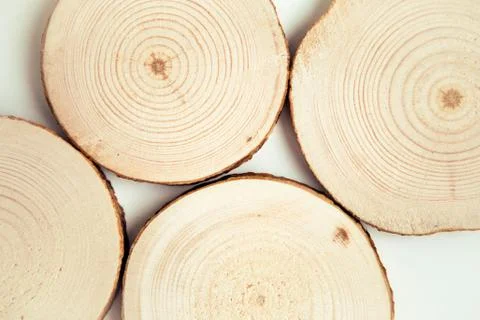 Wood cut, round shape texture. Round wooden saw cuton the white background. Stock Photos