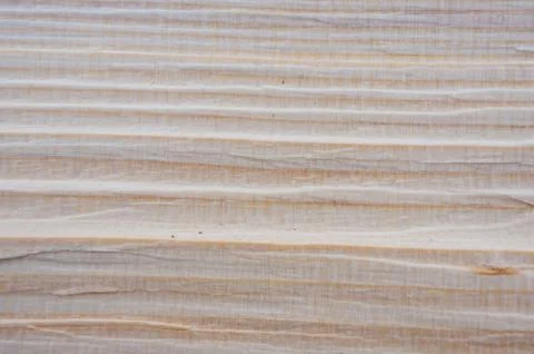 Wood cut texture Stock Photos