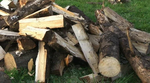 Wood cuting Video stock 847957