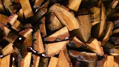 Wood, cutted forest . Front view horizontal video, problem of deforestation Stock Footage 247457997