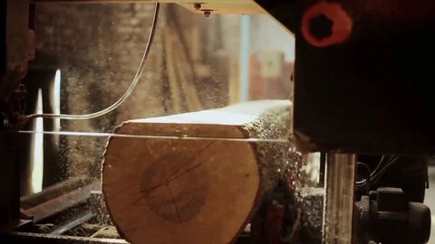 Wood Cutting Stock Footage 74715284