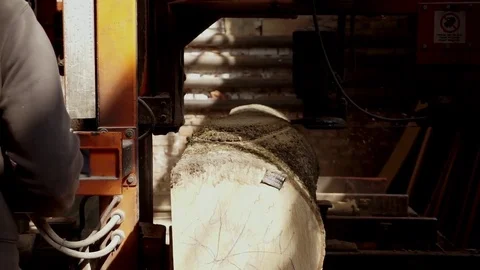 Wood Cutting Stock Footage 74715288