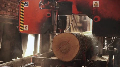 Wood Cutting Stock Footage 74715296