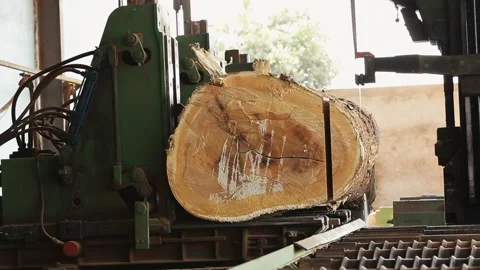 Wood-Cutting Industry Stock Footage 306699149