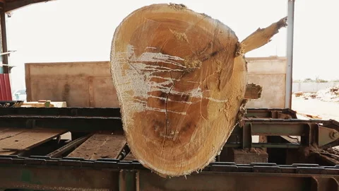 Wood-Cutting Industry Stock Footage 306699385