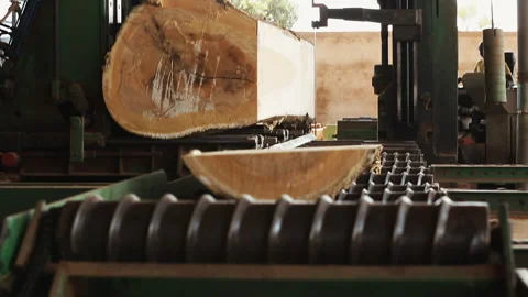 Wood-Cutting Industry Stock Footage 306700367