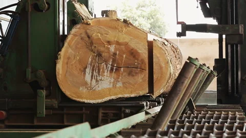 Wood-Cutting Industry Stock Footage 306701112
